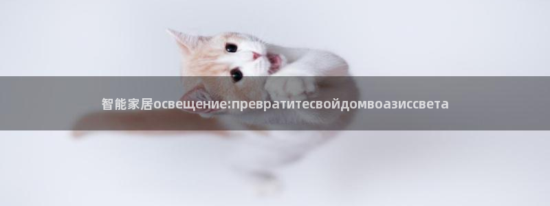 云顶国际服什么时候更新的