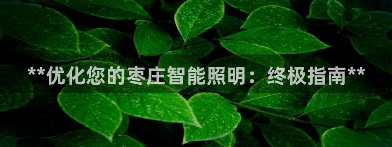 云顶国际版最新版苹果版