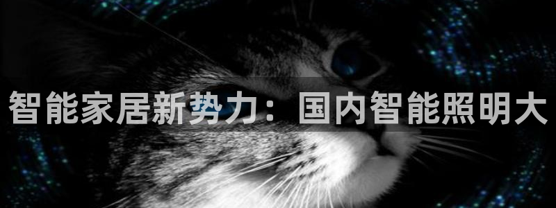 云顶国际官网官方下载