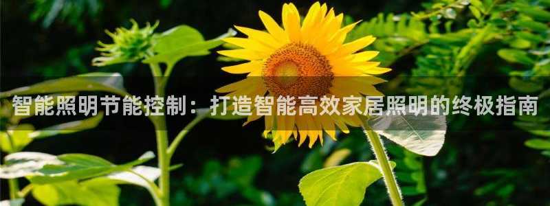 云顶集团游戏app月底为什么赢不到钱了