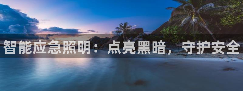 中国云顶控股集团