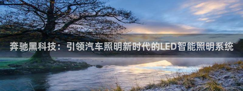 云顶国际--行业领导品牌