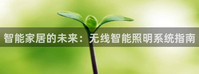 云顶国际部