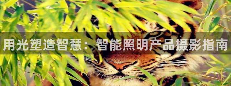 云顶国际yd222