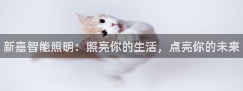 云顶国际ktv