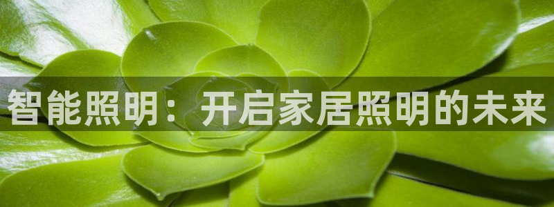 云顶国际宴会中心地址