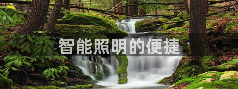 yd2333云顶电子游戏网址多少呢?