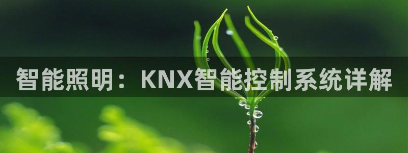 云顶电子游戏app