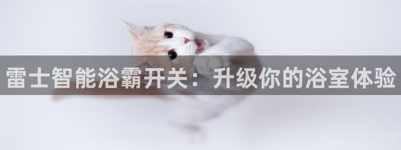 云顶国际商业广场a座101室