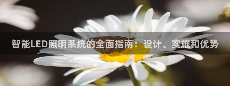 云顶国际体育官方网站