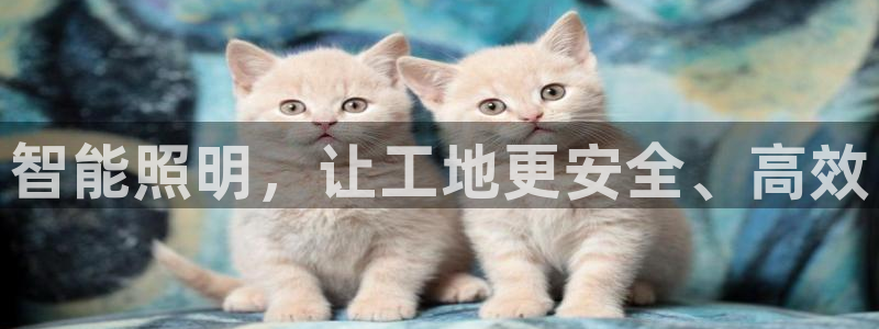 太原云顶国际酒店郝睿