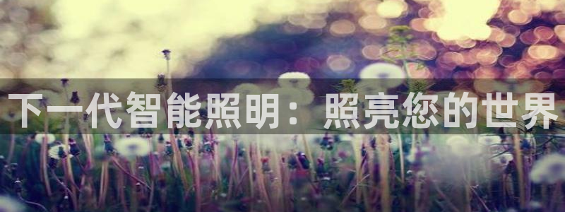 云顶国际房地产有限公司