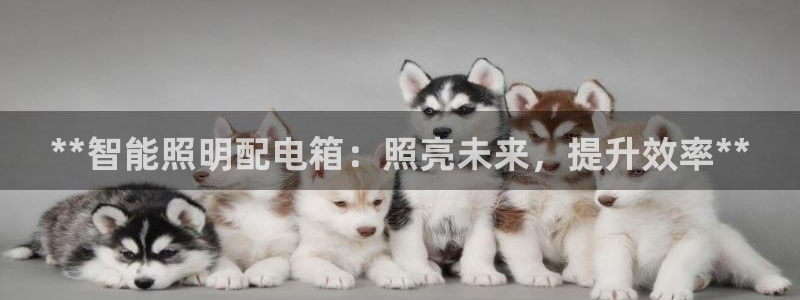 云顶国际服维护时间