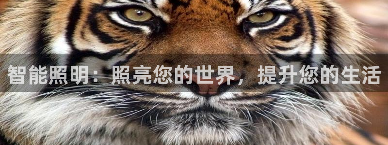 云顶国际停车费多少