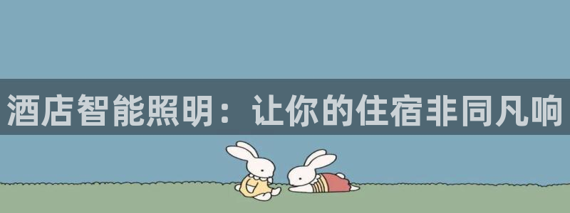 云顶国际软件