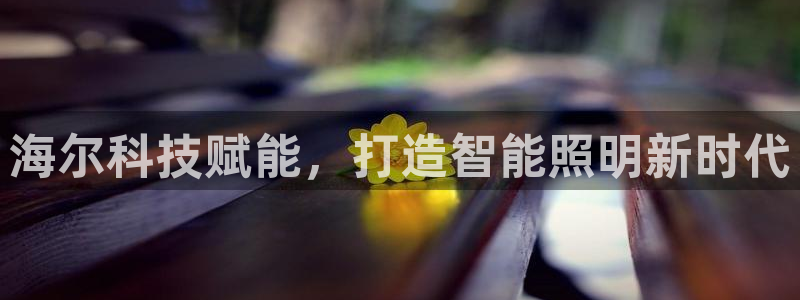 云顶国际ktv怎么样