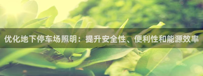 上海云顶国际会所有什么服务