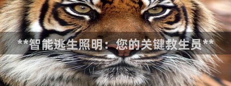 云顶国际4008服务平台