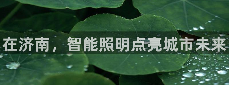 云顶国际集团开发有限公司