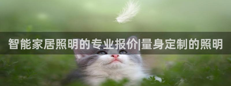 云顶国际ktv会所地址