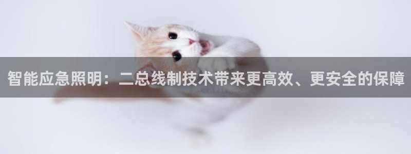 云顶集团网站多少钱一个