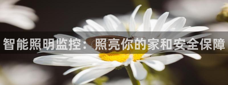 云顶国际KTV