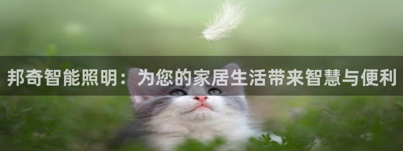 云顶国际晟荣协会会长是谁