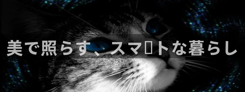 云顶国际服更新时间