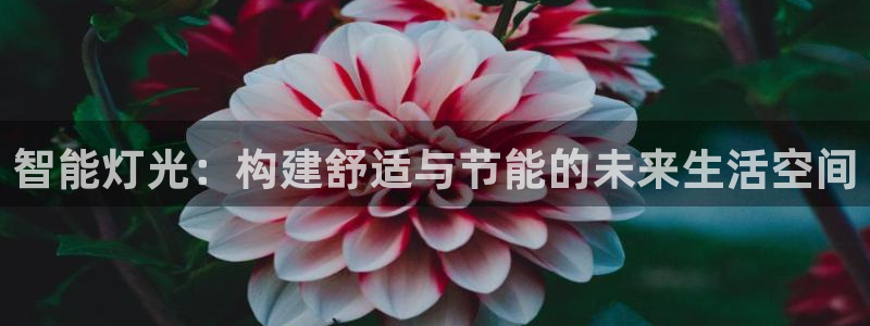 云顶国际酒店几星级最高