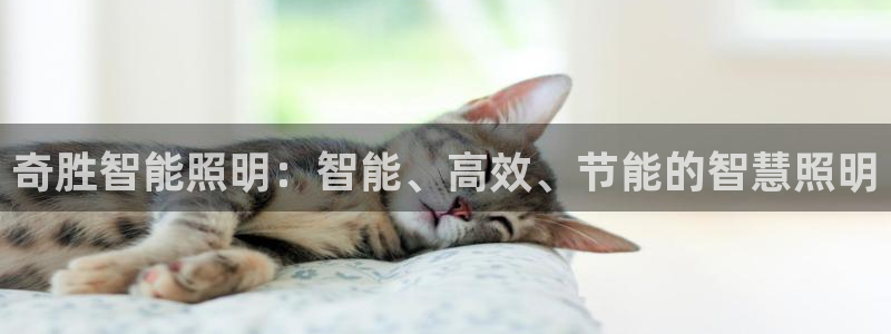 云顶1026