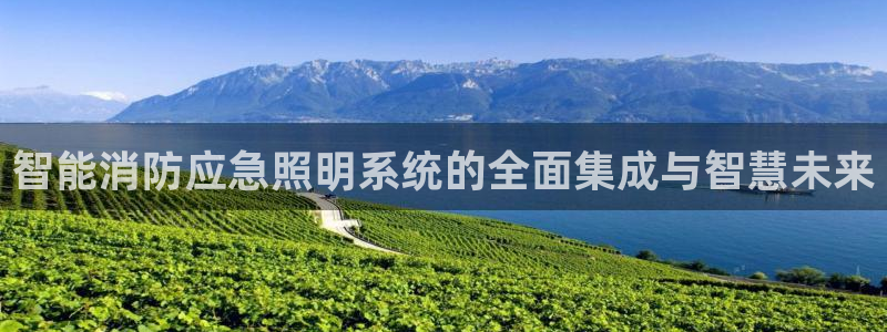 谁知道云顶的网站是多少