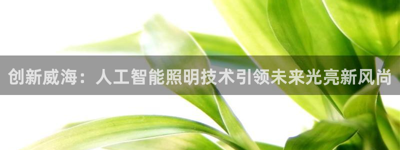 云顶集团app免费下载安卓