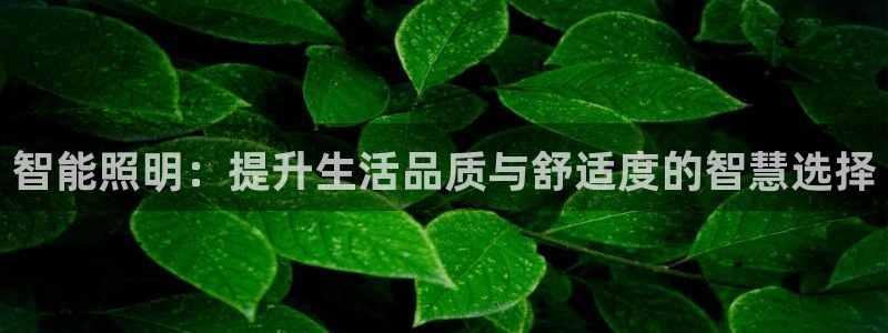 云顶国际是正规平台吗知乎