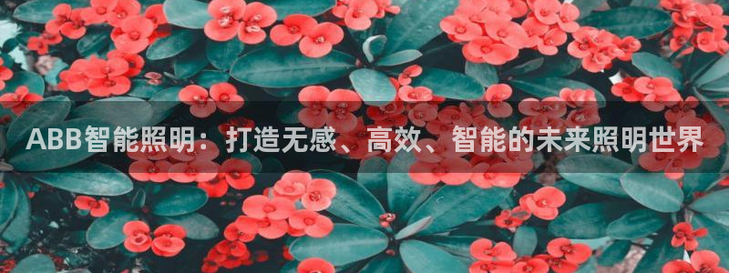 云顶国际物流官网
