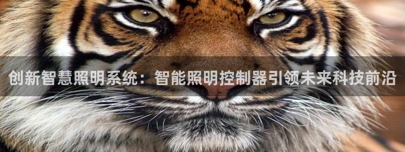 上海云顶国际会所有什么服务