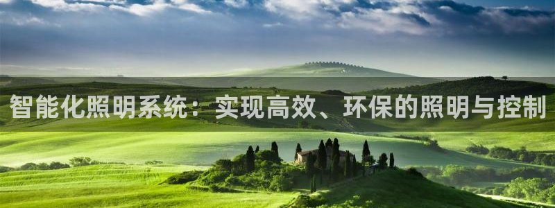 云顶集团有限公司简介