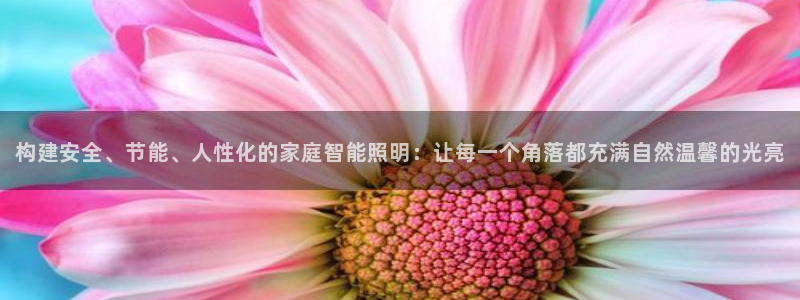 云顶集团 中国