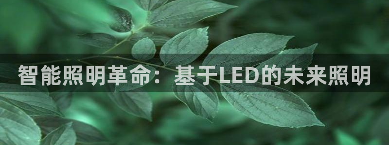 云顶集团专属app